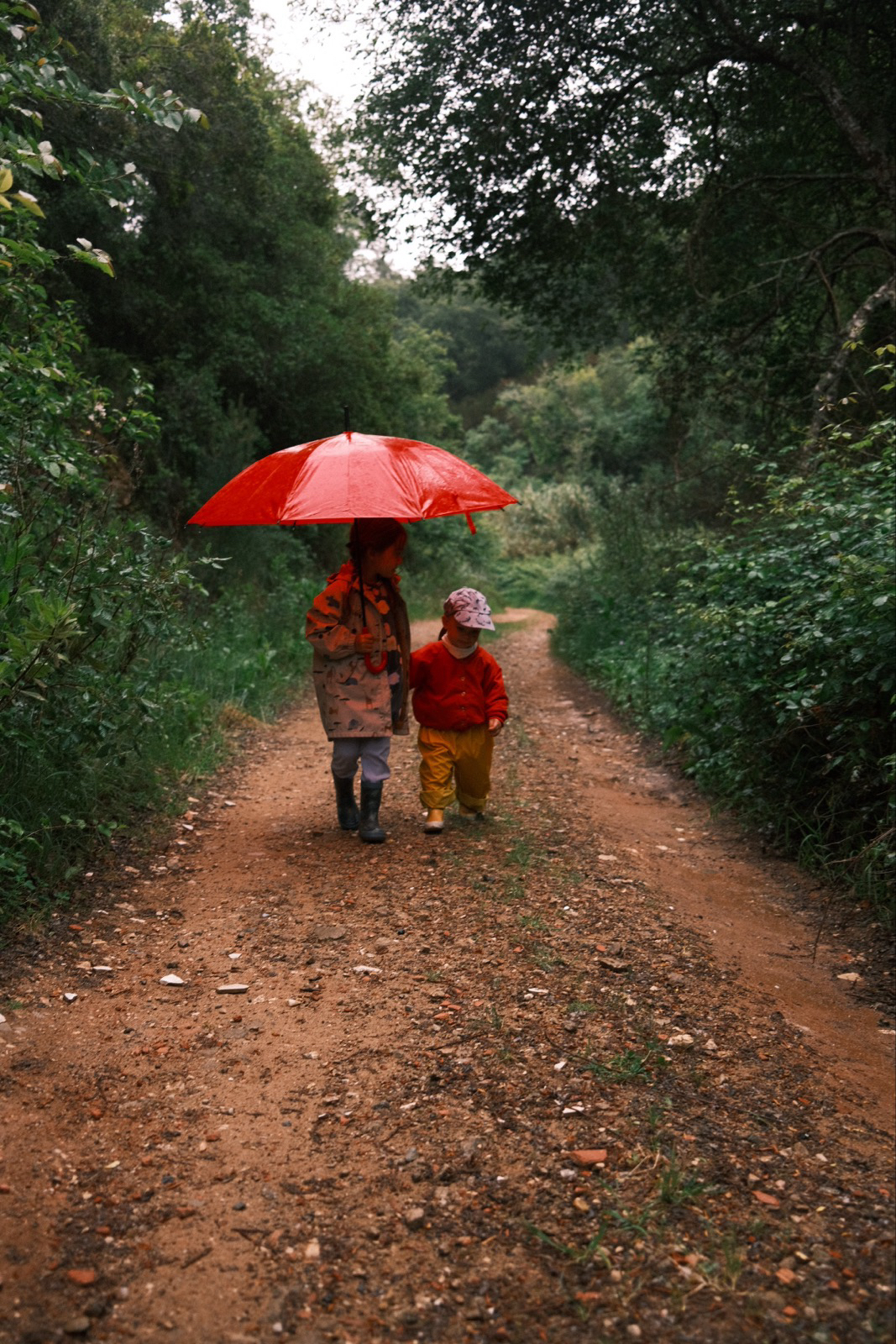Two children walking down a wet forest track under a red umbrella