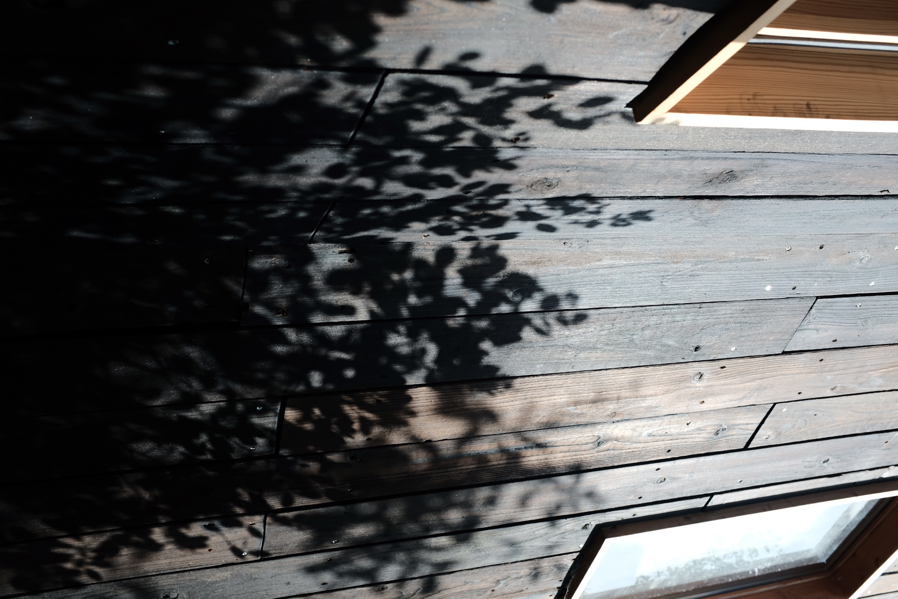 Leaf shadows across charred black yakisugi cladding