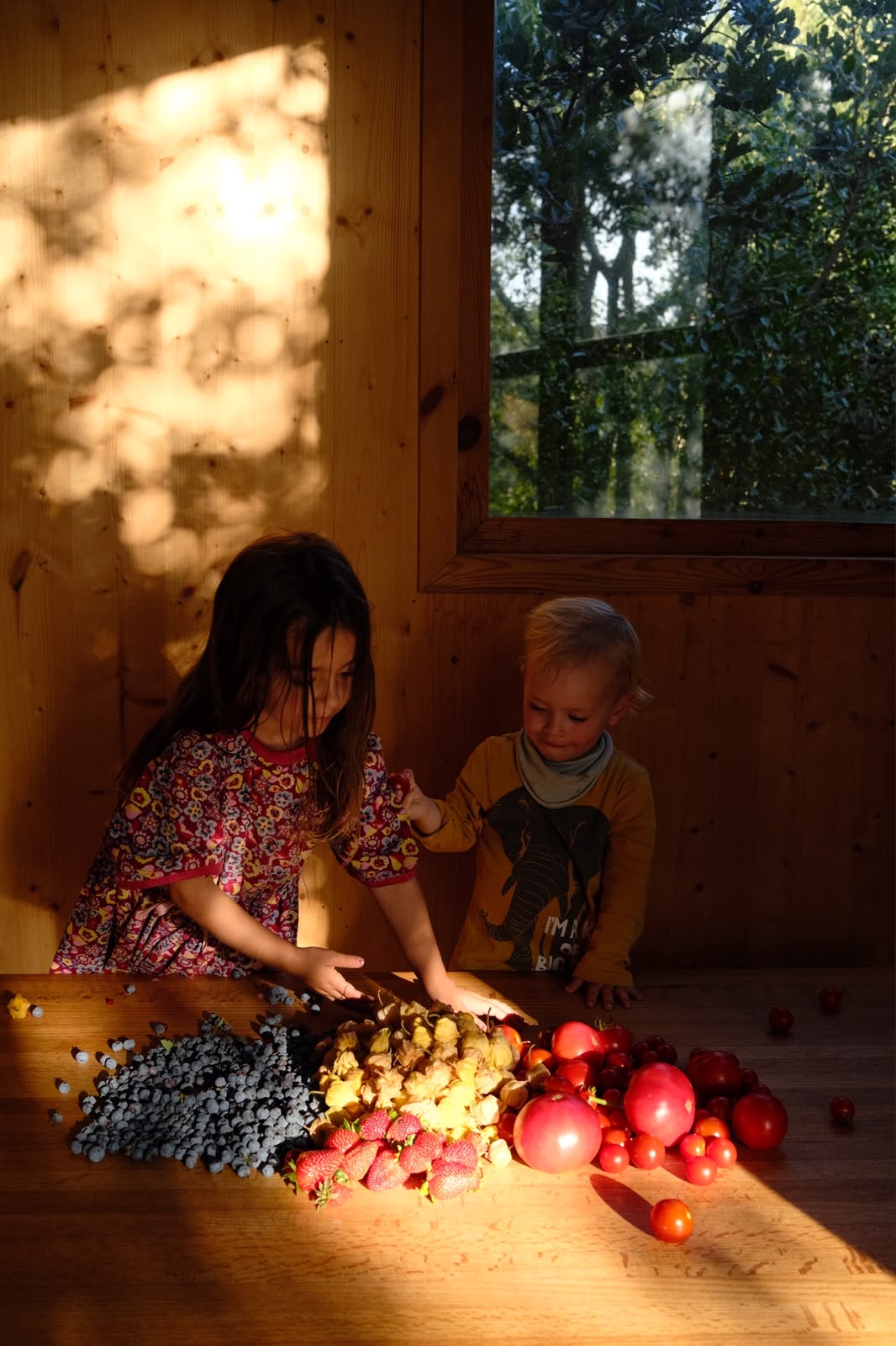 Two children sorting a table full of berries and tomatoes in the sunlight