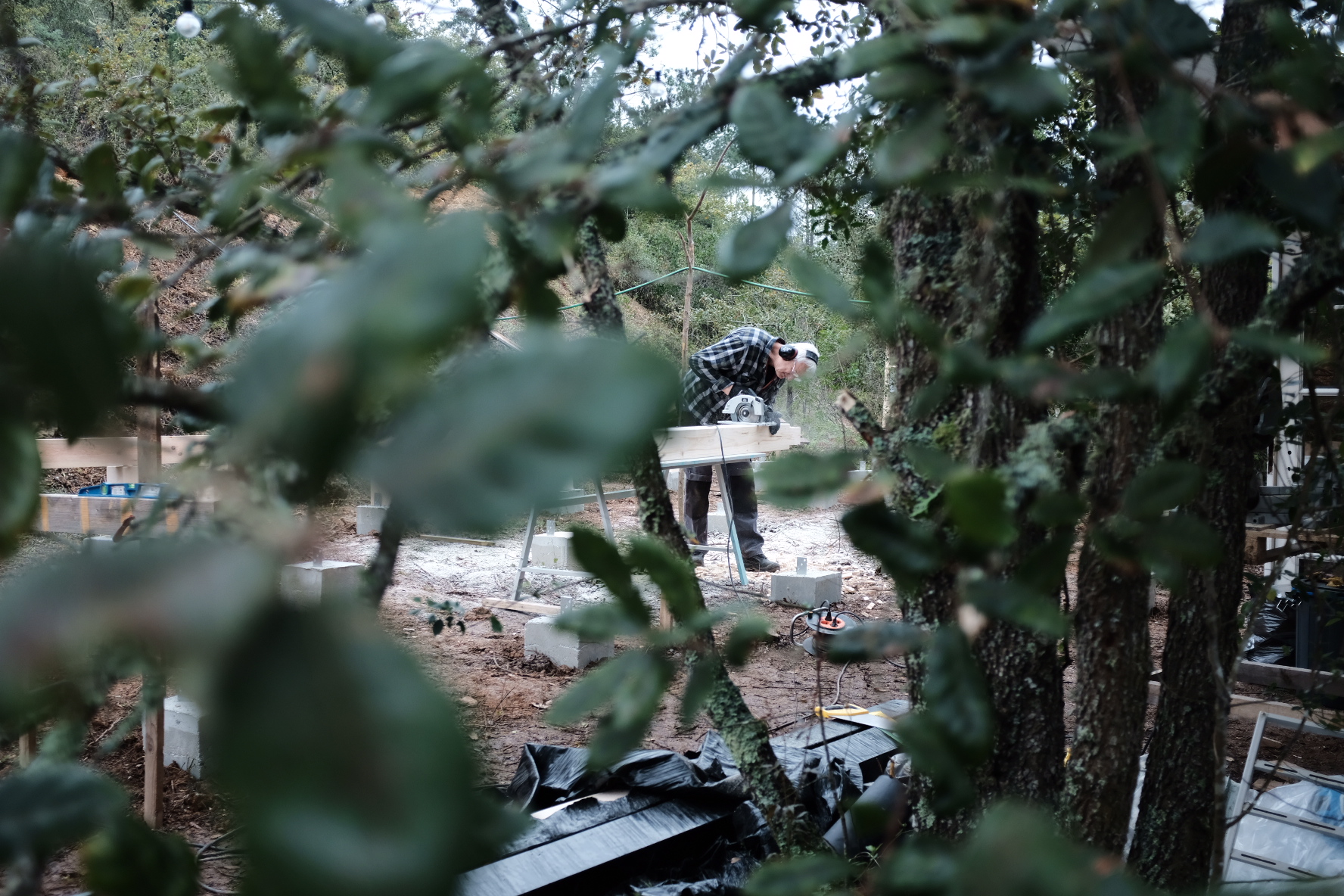 A person in a plaid shirt working on timber framing seen through the trees
