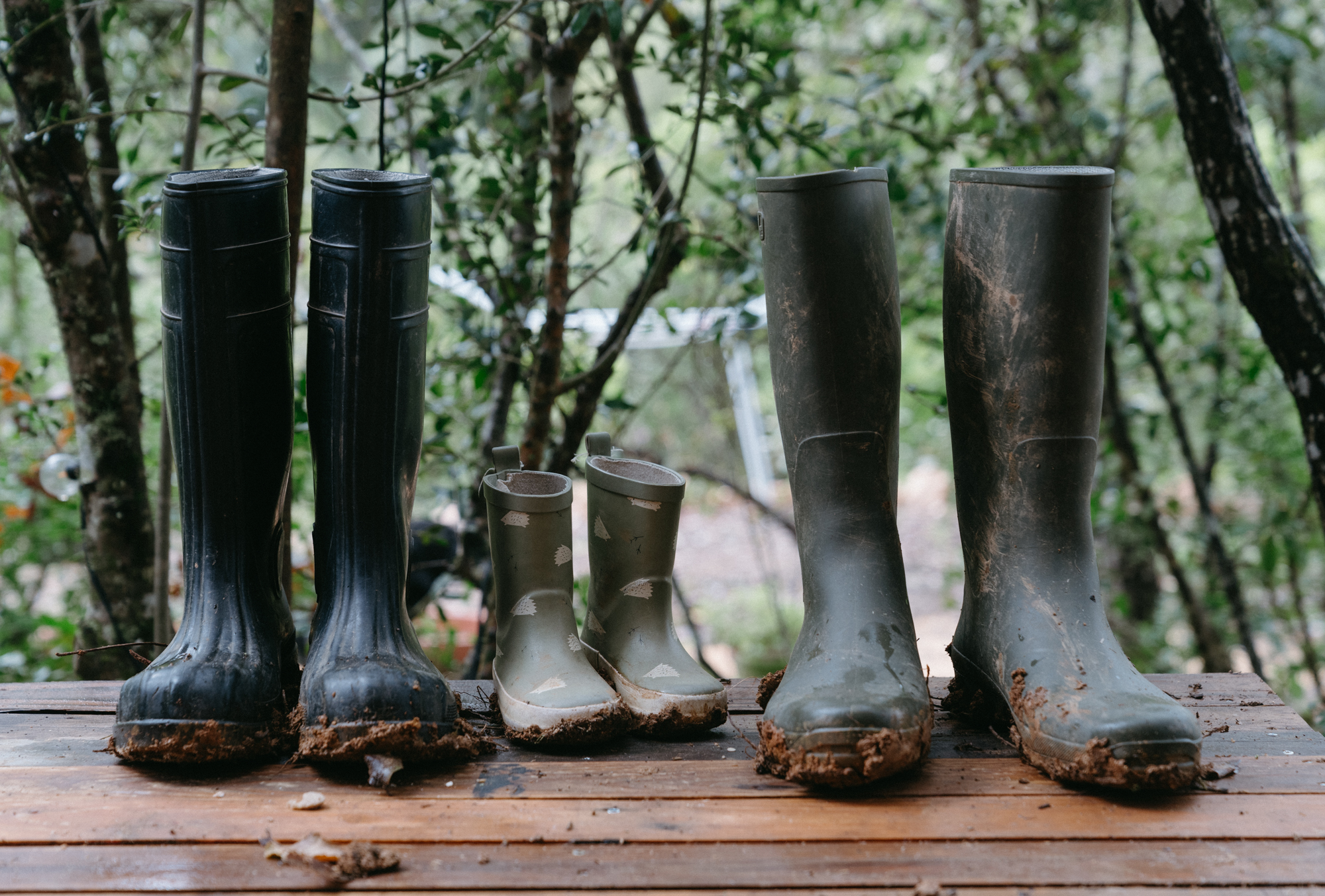 Four pairs of muddy wellington boots lined up on a timber deck in the woods